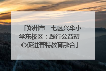 郑州市二七区兴华小学东校区：践行公益初心促进普特教育融合