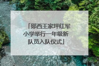 郧西王家坪红军小学举行一年级新队员入队仪式