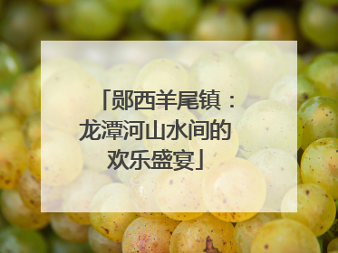 郧西羊尾镇：龙潭河山水间的欢乐盛宴