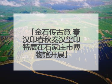 金石传古意 秦汉印春秋秦汉玺印特展在石家庄市博物馆开展