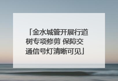 金水城管开展行道树专项修剪 保障交通信号灯清晰可见