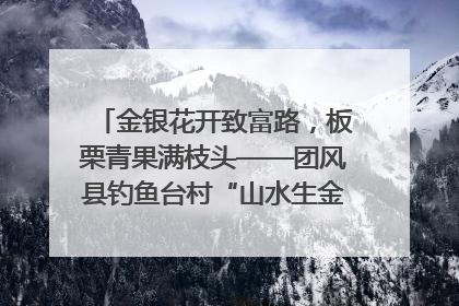 金银花开致富路，板栗青果满枝头——团风县钓鱼台村“山水生金”谱写共富新篇章
