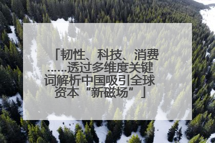 韧性、科技、消费……透过多维度关键词解析中国吸引全球资本“新磁场”