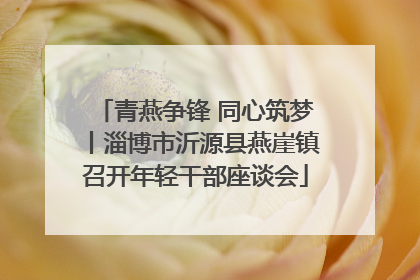 青燕争锋 同心筑梦丨淄博市沂源县燕崖镇召开年轻干部座谈会