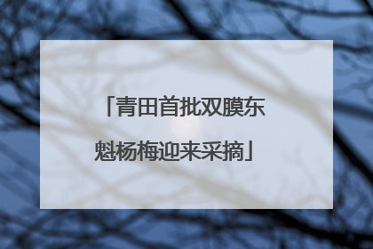 青田首批双膜东魁杨梅迎来采摘