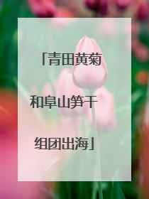 青田黄菊和阜山笋干组团出海