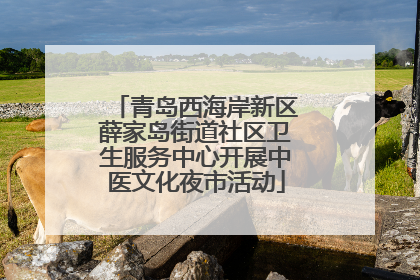青岛西海岸新区薛家岛街道社区卫生服务中心开展中医文化夜市活动