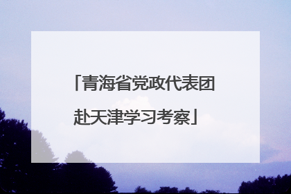 青海省党政代表团赴天津学习考察