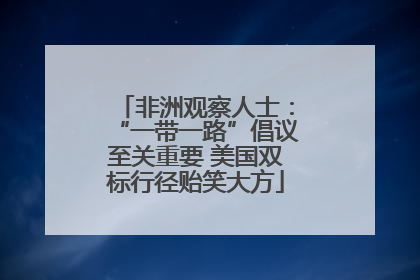 非洲观察人士：“一带一路”倡议至关重要 美国双标行径贻笑大方