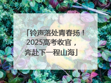 铃声落处青春扬！2025高考收官，奔赴下一程山海