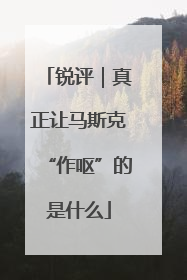 锐评｜真正让马斯克“作呕”的是什么