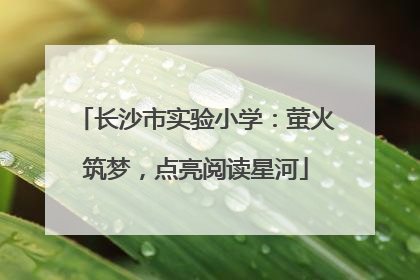 长沙市实验小学：萤火筑梦，点亮阅读星河