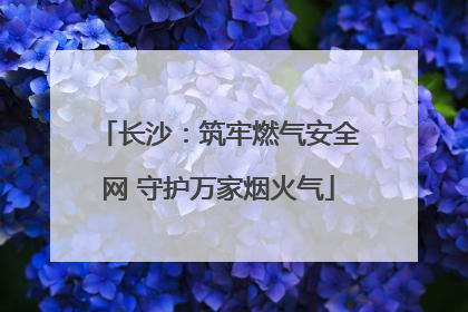 长沙：筑牢燃气安全网 守护万家烟火气