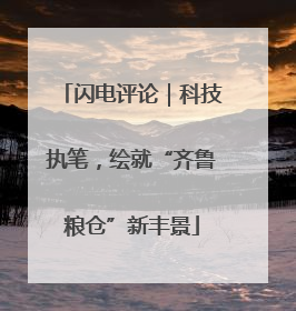 闪电评论｜科技执笔，绘就“齐鲁粮仓”新丰景