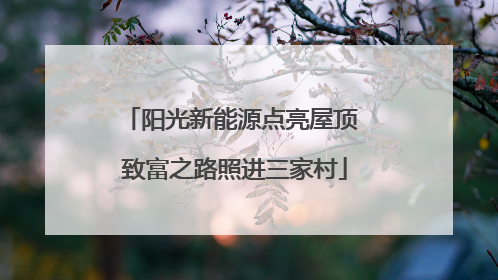阳光新能源点亮屋顶 致富之路照进三家村