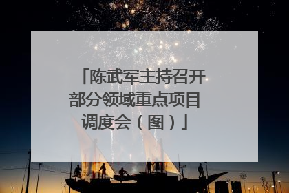 陈武军主持召开部分领域重点项目调度会（图）