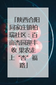 陕西合阳同家庄镇柏瑞社区：百亩杏园迎丰收 果农走上“杏”福路