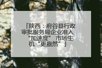 陕西：府谷县行政审批服务局企业准入“加速度” 市场生机“更盎然”