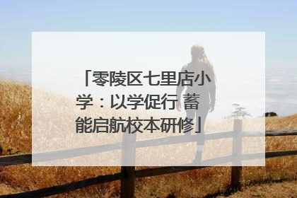 零陵区七里店小学：以学促行 蓄能启航校本研修