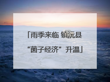 雨季来临 镇沅县“菌子经济”升温