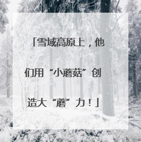 雪域高原上，他们用“小蘑菇”创造大“蘑”力！