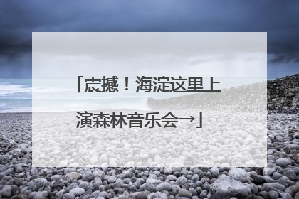 震撼！海淀这里上演森林音乐会→
