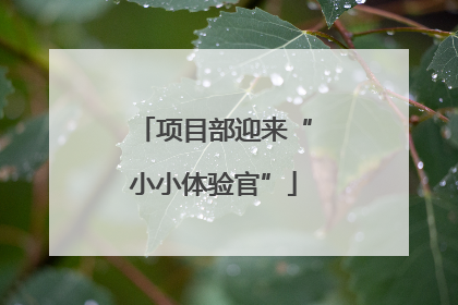 项目部迎来“小小体验官”