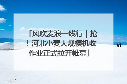 风吹麦浪一线行｜抢！河北小麦大规模机收作业正式拉开帷幕