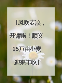 风吹麦浪，开镰啦！顺义15万亩小麦迎来丰收