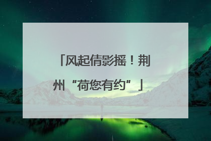 风起倩影摇！荆州“荷您有约”