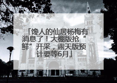 馋人的仙居杨梅有消息了！大棚版抢“鲜”开采，露天版预计要等6月