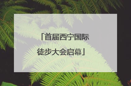 首届西宁国际徒步大会启幕