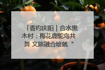 香约庆阳｜合水黑木村：梅花鹿鸵鸟共舞 文旅融合绘就“诗与远方”