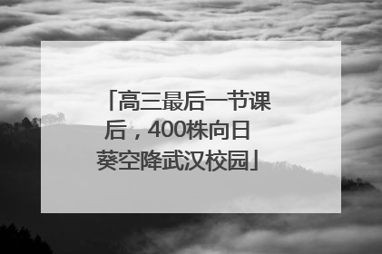 高三最后一节课后，400株向日葵空降武汉校园
