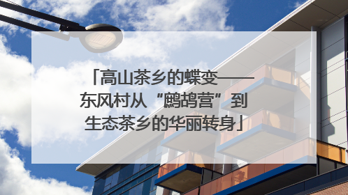 高山茶乡的蝶变——东风村从“鹧鸪营”到生态茶乡的华丽转身
