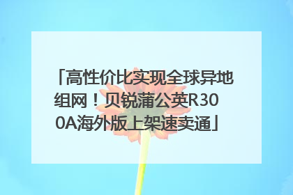 高性价比实现全球异地组网！贝锐蒲公英R300A海外版上架速卖通