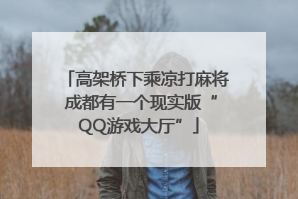 高架桥下乘凉打麻将 成都有一个现实版“QQ游戏大厅”
