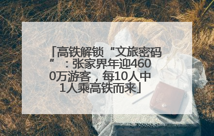 高铁解锁“文旅密码”：张家界年迎4600万游客，每10人中1人乘高铁而来
