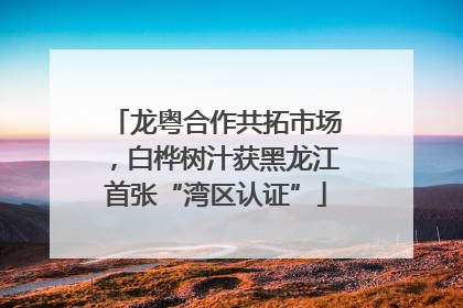 龙粤合作共拓市场，白桦树汁获黑龙江首张“湾区认证”