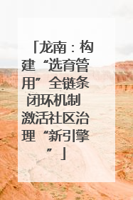 龙南：构建“选育管用”全链条闭环机制 激活社区治理“新引擎”
