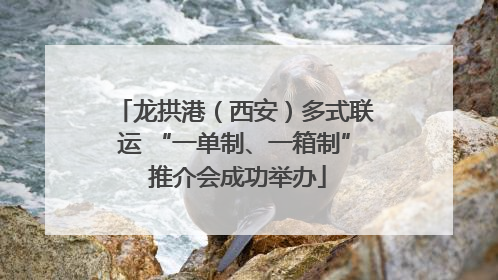 龙拱港（西安）多式联运 “一单制、一箱制” 推介会成功举办
