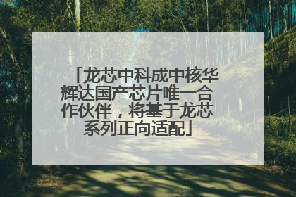 龙芯中科成中核华辉达国产芯片唯一合作伙伴，将基于龙芯系列正向适配