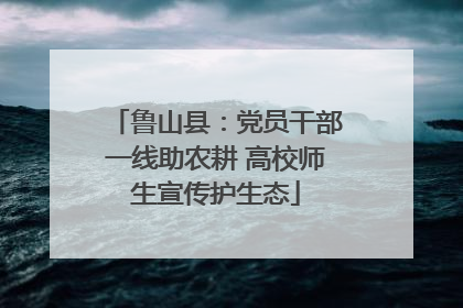 鲁山县：党员干部一线助农耕 高校师生宣传护生态