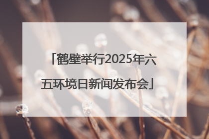 鹤壁举行2025年六五环境日新闻发布会
