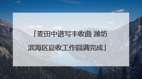 麦田中谱写丰收曲 潍坊滨海区夏收工作圆满完成