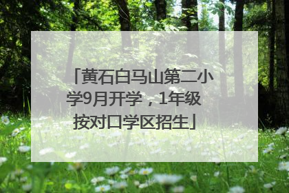 黄石白马山第二小学9月开学，1年级按对口学区招生