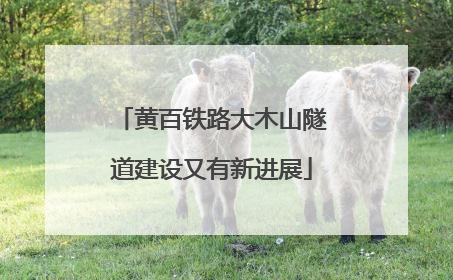 黄百铁路大木山隧道建设又有新进展