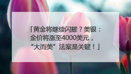 黄金将继续闪耀？美银：金价将涨至4000美元，“大而美”法案是关键！