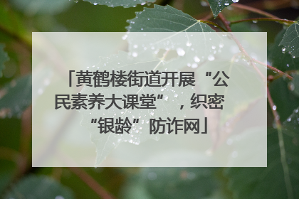 黄鹤楼街道开展“公民素养大课堂”，织密“银龄”防诈网