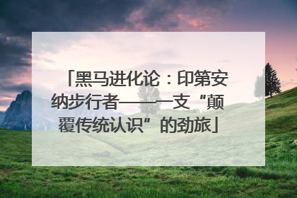 黑马进化论：印第安纳步行者——一支“颠覆传统认识”的劲旅